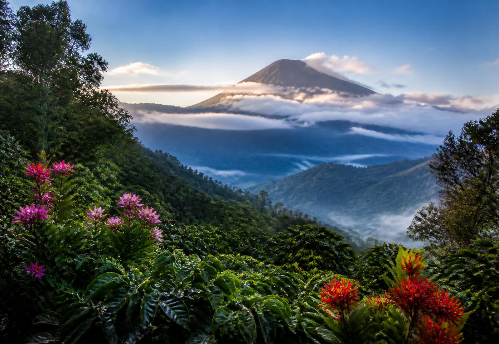 Coffee highlands and cloud forest in Ahuachapán